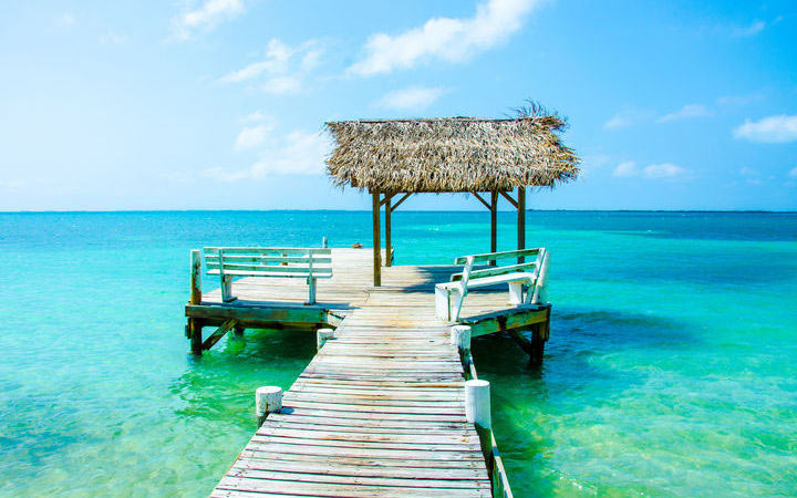Escala Harvest Caye